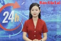 Gia Lai 24h: Ngang nhiên khai thác trái phép hàng ngàn m3 đất tại xã Ayun Hạ