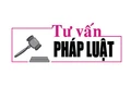 Luật sư Bùi Thanh Vũ tư vấn pháp luật