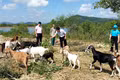 Trợ lực cho người lao động tạo sinh kế bền vững