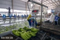 Vị thế Đắk Lắk trên hành trình nửa thế kỷ