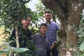 Uống trà đi !: Nghĩa đồng bào với non cao A Mú Sung