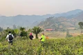 Uống trà đi!: Bản Liền, chuyện giờ mới kể