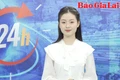 Gia Lai 24h: Giá heo hơi tăng, người chăn nuôi cần thận trọng khi tái đàn