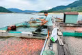 Mưu sinh trên lòng hồ Định Bình