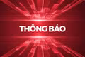 Công ty TNHH MTV Cao su Chư Prông mời đăng ký hợp tác trồng xen cây ngắn ngày trên đất cao su kiến thiết cơ bản