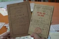 Vay gạo