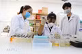 Đến năm 2030, Việt Nam làm chủ tối thiểu 10 công nghệ lõi