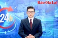 Gia Lai 24h: Cần quản lý chặt nguồn gốc giống cà phê