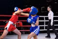 Hấp dẫn, xuất hiện nhiều tay đấm trẻ triển vọng tại Đại hội TDTT môn boxing và Giải vô địch boxing trẻ các CLB, võ đường tỉnh Gia Lai lần thứ I - năm 2026. 