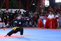 Giải vô địch võ cổ truyền quốc gia lần thứ 34: Đoàn Gia Lai khẳng định sức mạnh!