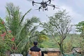 Nông dân ứng dụng drone