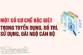 Một số cơ chế đặc biệt trong tuyển dụng, bố trí, sử dụng, đãi ngộ cán bộ