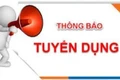 Thông báo tuyển dụng