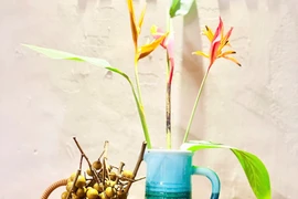 Thương hoài mùa nhãn