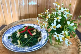Món ngon từ xuyến chi
