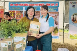 Trà hoa hòe của Hợp tác xã Nông nghiệp Dịch vụ Đức Thành Đạt (xã Ia Sol) là 1 trong 16 sản phẩm tham gia đánh giá, phân hạng sản phẩm OCOP huyện Phú Thiện năm 2025. Ảnh: Vũ Chi