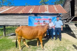 Thầy Vũ Văn Tùng, người phụ trách Tủ bánh mì 0 đồng (thứ 2 từ phải sang) trao bò sinh sản cho em Đinh H’Khen (thứ 2 từ trái sang). Ảnh: NVCC