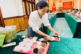 Hợp tác xã nông nghiệp Chư A Thai có 3 sản phẩm gạo đăng ký chứng nhận OCOP năm 2024. Ảnh: Vũ Chi