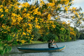 Ảnh minh họa: Nguyễn Linh Vinh Quốc