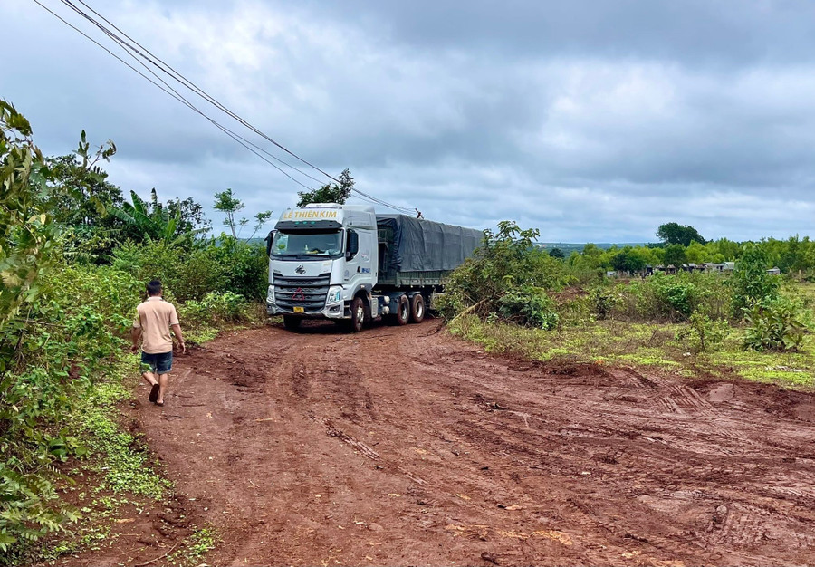 Để tránh đi trên đường bê tông của thôn, các xe chở gỗ cao su khai thác buộc phải đi đường vòng trên các tuyến đường đất đầy sình lầy. Ảnh: Minh Phương a-d-c.jpg