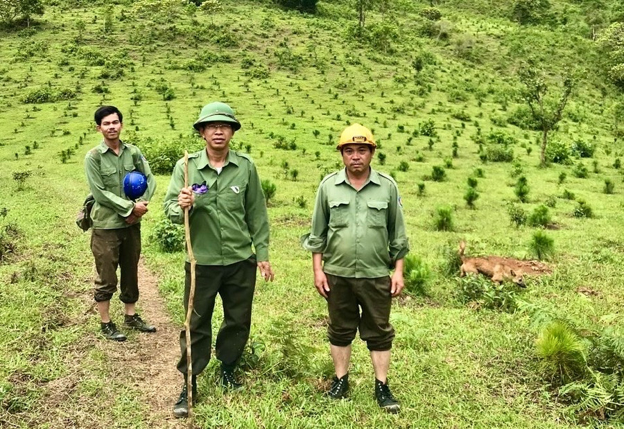 Ông Nguyễn Văn Chín-Giám đốc Ban Quản lý rừng phòng hộ Hà Ra (giữa) trong một chuyến tuần tra bảo vệ rừng. Ảnh: Minh Phương chin.jpg