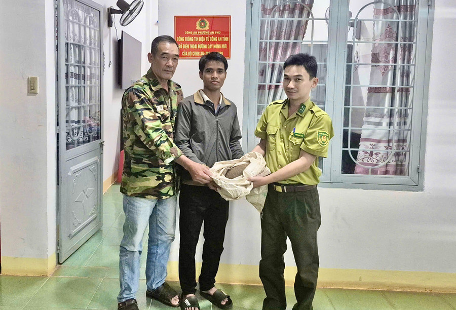 Anh Sinh (đứng giữa) giao nộp cá thể tê tê quý hiếm cho Công an phường An Phú. Ảnh: CACC giao-nop.jpg