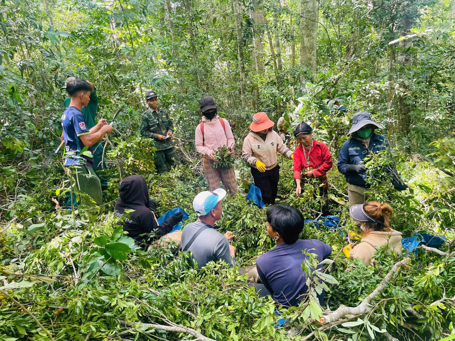 Đến mùa xoay, người dân các xã Kbang, Đak Rong, Sơn Lang rủ nhau đi hái quả. Ảnh: Minh Nguyễn anh-3-den-mua-xoay-nguoi-dan-bahnar-jrai-o-cac-lang-khu-vuc-xa-kbang-dak-rong-son-lang-ru-nhau-thanh-tung-top-moi-top-tu-10-20-nguoi-di-hai-qua-1.jpg