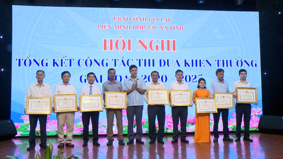 lien-minh-hop-tac-xa-tinh-gia-lai-tong-ket-cong-tac-thi-dua-khen-thuong-giai-doan-2020-2025.jpg