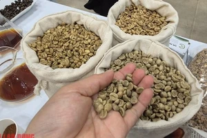 Giá cà phê hôm nay 30-4: Rớt mạnh, Brazil vào mùa