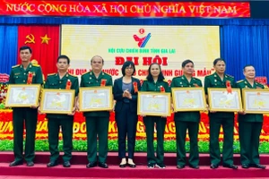 Ông Chu Xuân Toàn (thứ 3 từ trái sang) nhận bằng khen của Chủ tịch UBND tỉnh tại Đại hội thi đua yêu nước CCB gương mẫu toàn tỉnh. Ảnh: P.D