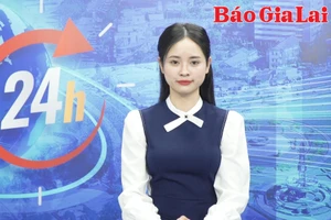 Gia Lai 24h: Giá hạt điều tăng cao nhưng nông dân kém vui