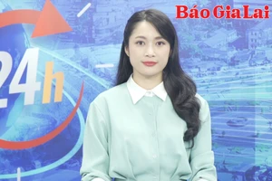 Gia Lai 24h: Nhiều hộ kinh doanh trên địa bàn tỉnh “ngại” thành doanh nghiệp