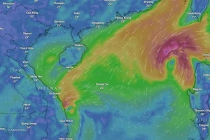 Bão số 8 và áp thấp nhiệt đới hoạt động trên Biển Đông như thế nào?