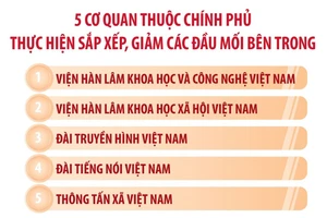 Sắp xếp, tinh gọn tổ chức bộ máy bên trong của 3 cơ quan ngang bộ và 5 cơ quan thuộc Chính phủ