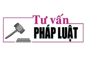 Luật sư Bùi Thanh Vũ tư vấn pháp luật