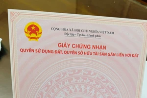 Ngày đầu cấp sổ đỏ mẫu mới có mã QR trên toàn quốc