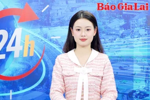 Gia Lai 24h: Tăng cường kiểm soát giá thực phẩm những ngày cận Tết