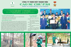 Công ty TNHH Một thành viên Cao su Chư Păh 