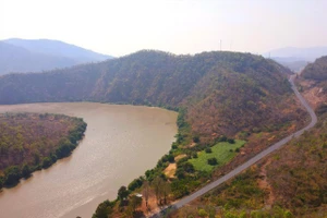 Nhân chứng đường số 7