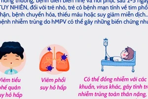 Virus hMPV gây viêm phổi có thể tiến hóa, thay đổi độc lực