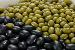 Ăn đậu gì để cùng lúc giảm cholesterol và đường huyết?