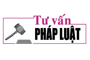 Luật sư Bùi Thanh Vũ tư vấn pháp luật