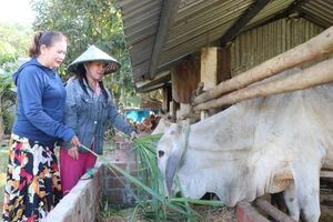 An Khê “tiếp sức” giúp người dân thoát nghèo