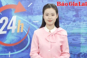 Gia Lai 24h: Rét kéo dài, mưa trái mùa khiến cây trồng chậm phát triển