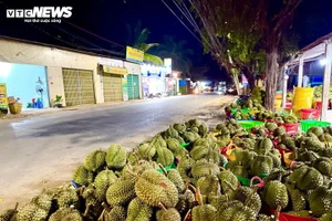Mất mùa, mất giá, nông dân trồng sầu riêng loay hoay tìm nguồn gốc cadimi