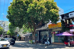 Hương nhãn 