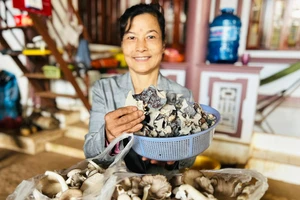 Bà Vũ Thị Thanh (thôn 2, xã Diên Phú) bên sản phẩm nấm sạch của gia đình. Ảnh: Đ.Y