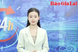 Gia Lai 24h: Không quản lý tốt đàn chó, nguy cơ tiềm ẩn bệnh dại