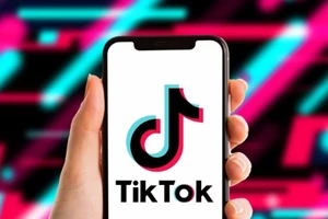 EU chính thức điều tra TikTok (ảnh minh họa nguồn qdnd.vn)