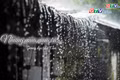 Ngăn ký ức: Những mùa mưa cũ